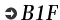 B1F